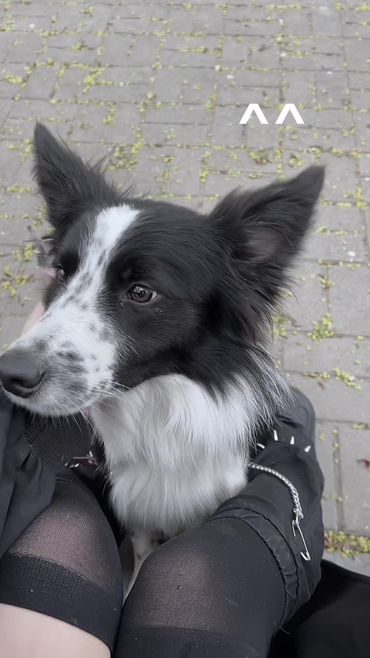 @хеллер