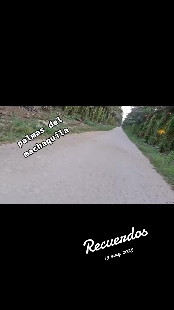 @CHUNITO Oficial 502🇬🇹🇬🇹
