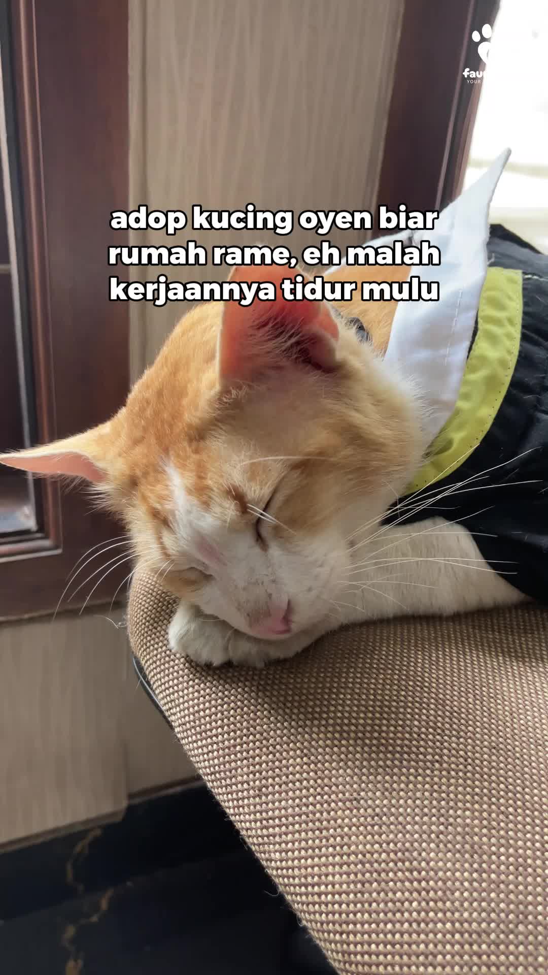 @Faunafella Care