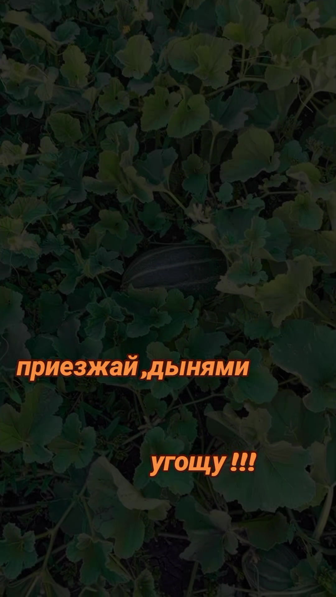 @Олежка!!!