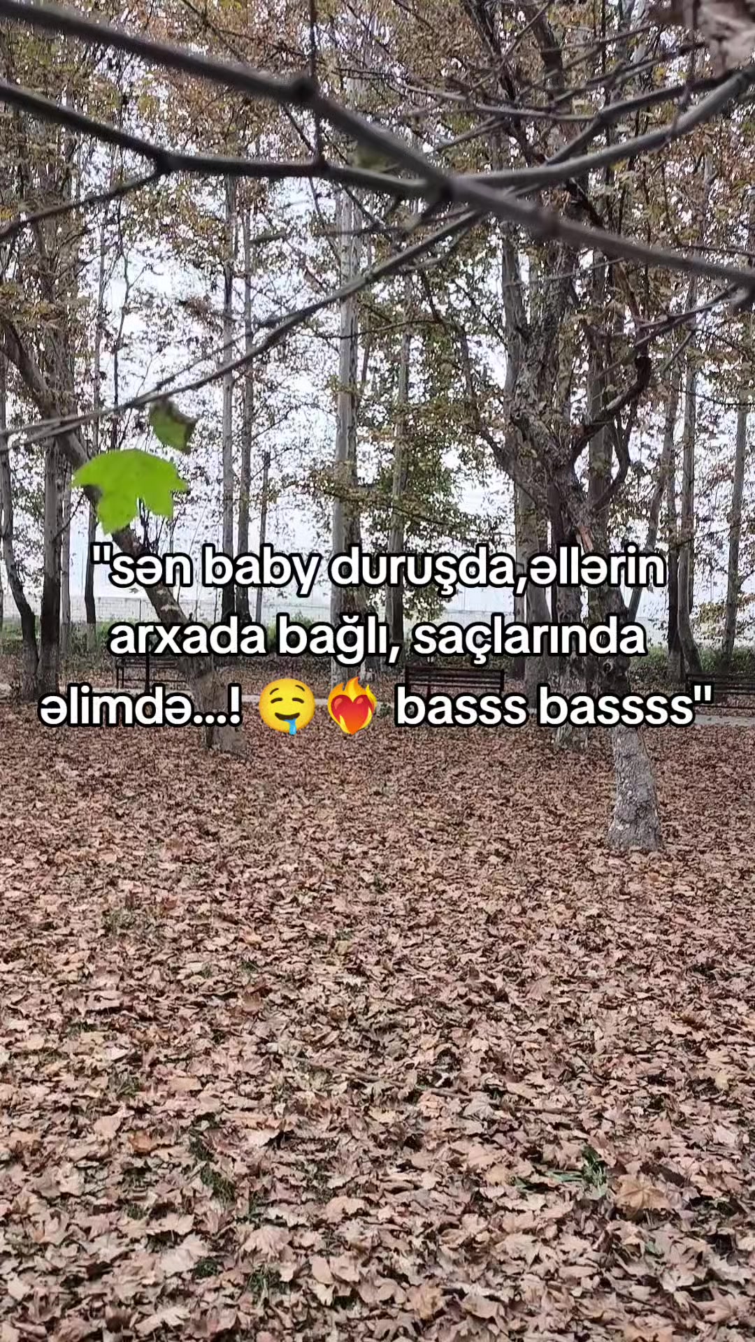 @🖤