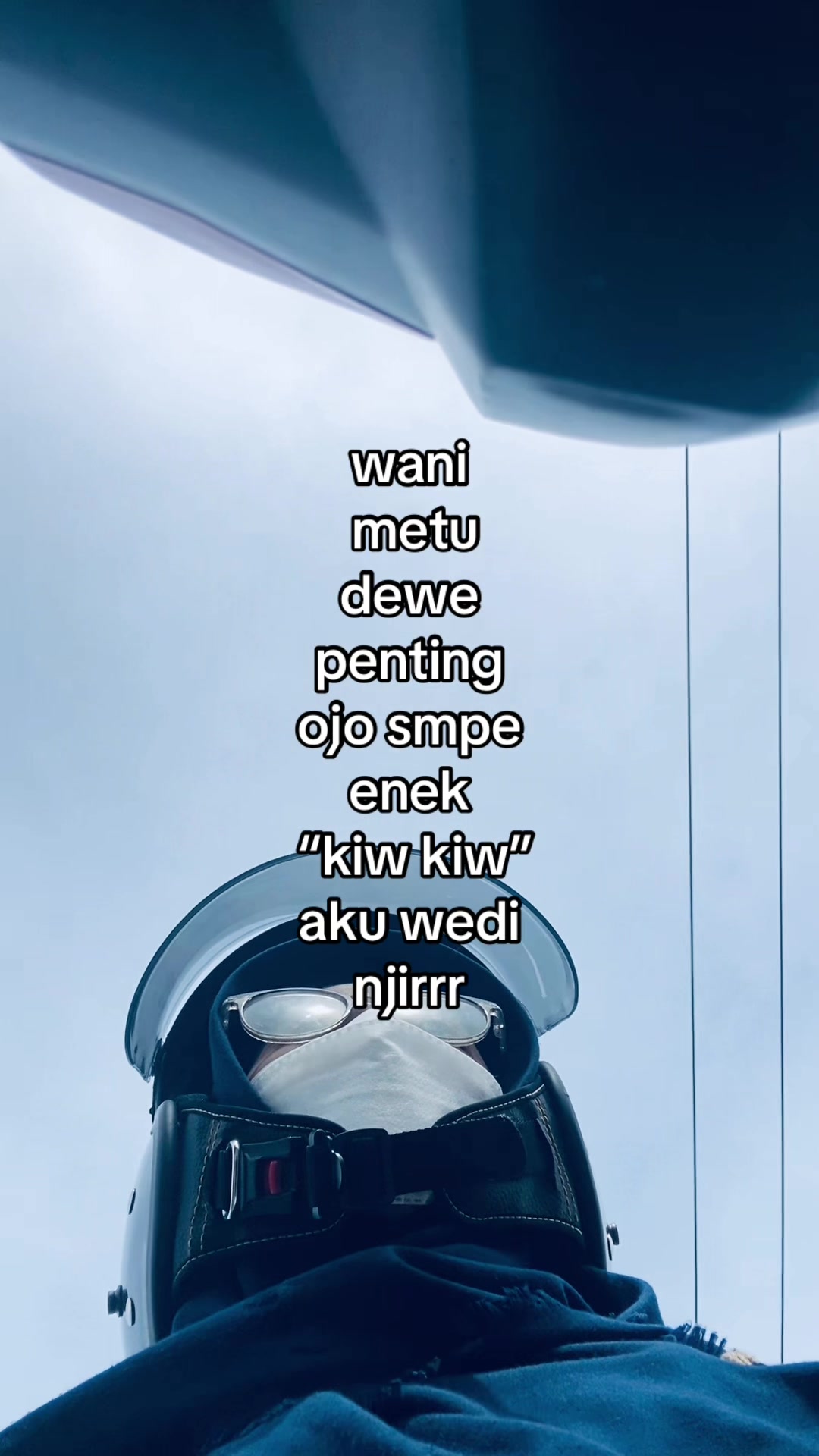 @elllllsv