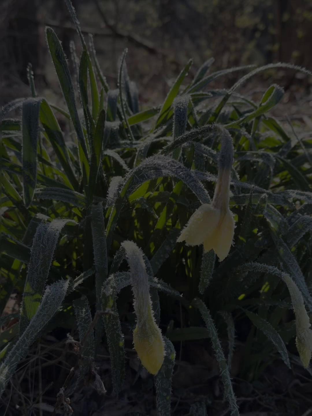 @farmandtrail
