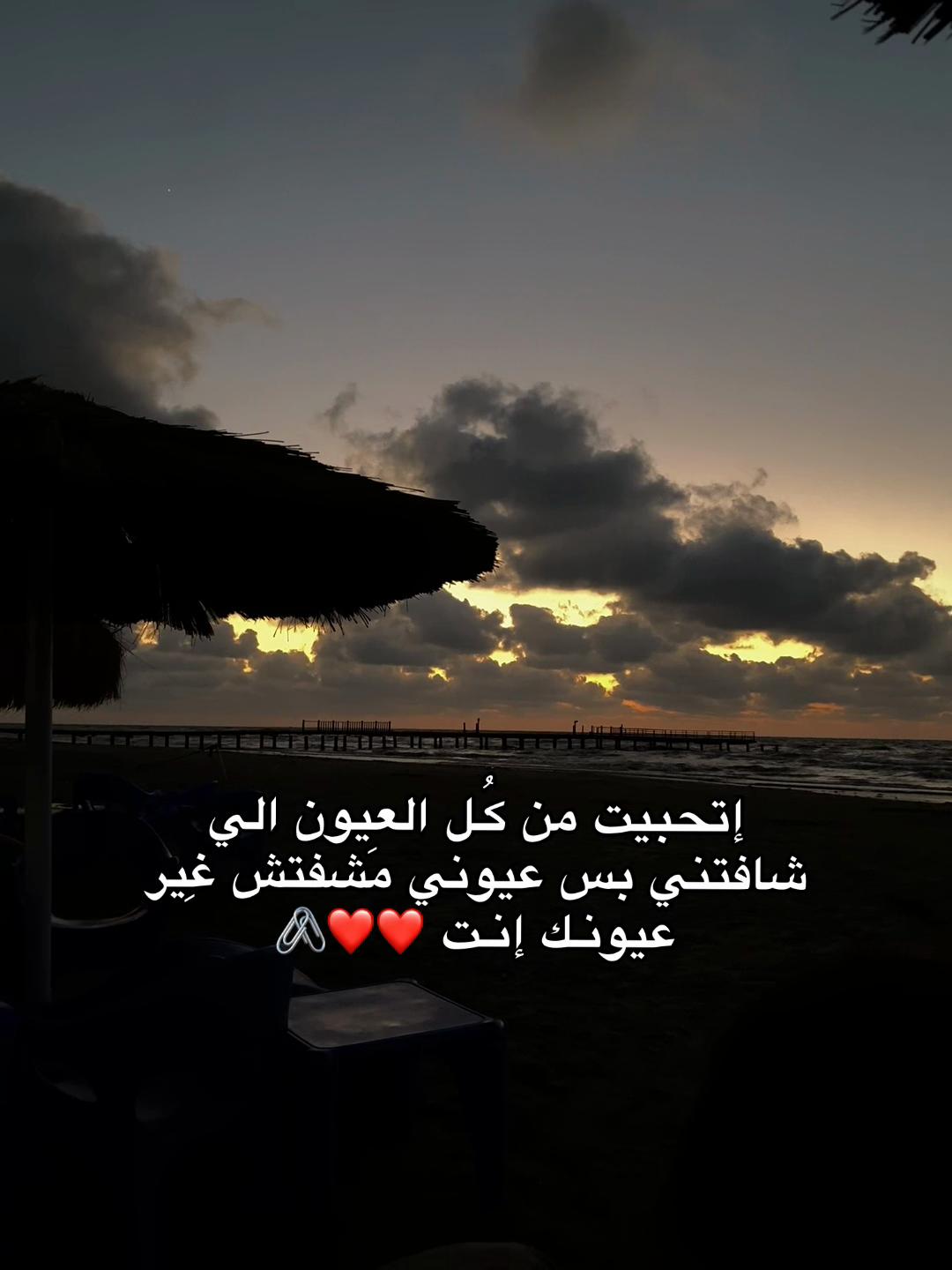 @shahd nassar