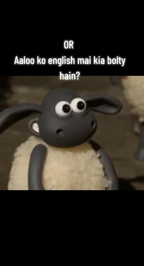 @Shaam