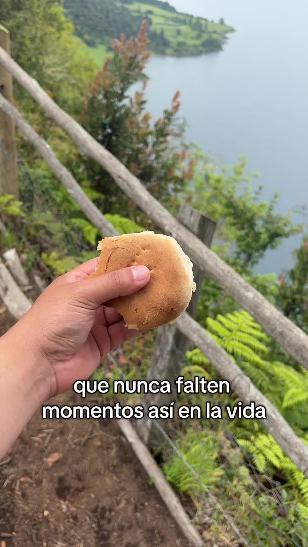 @Sebastian Moreno🏕️