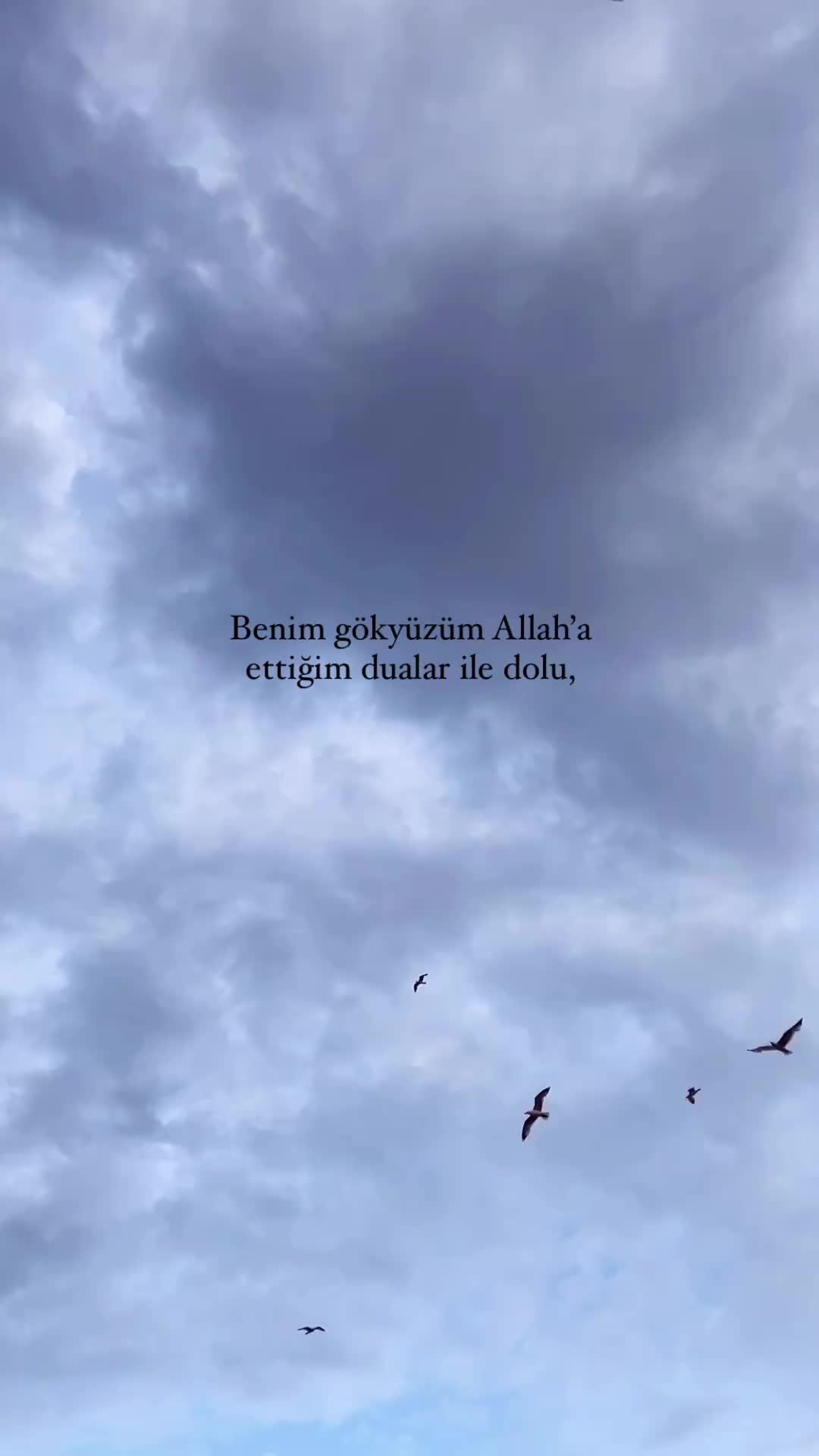 @ZEHRA 🕊