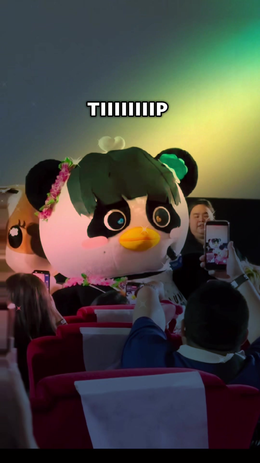 @Luna in the box