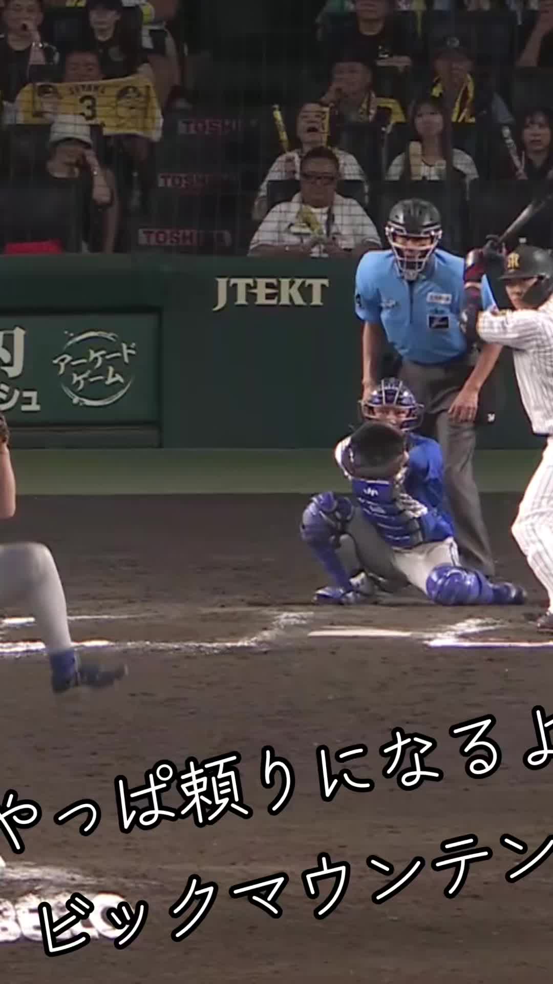 @🍑🐯トライダー🐯🍑