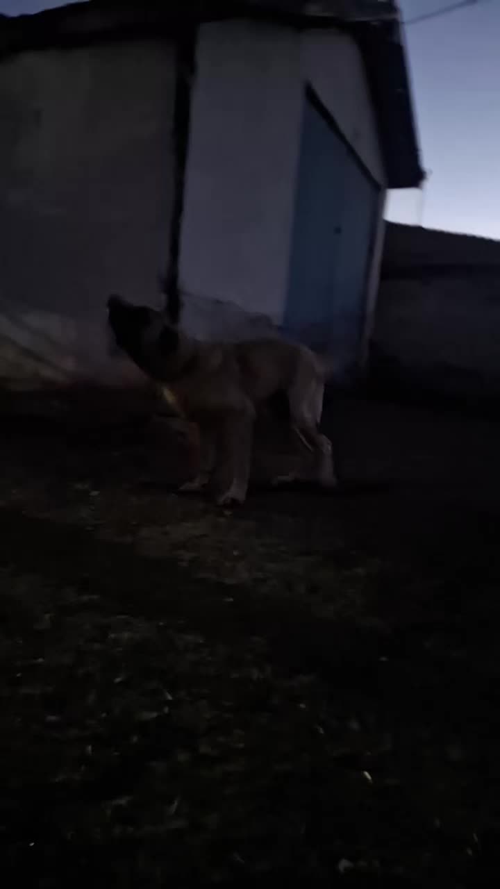 @Berat Demirtaş