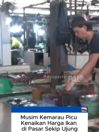 @Paltv-Memang Punyo Kito