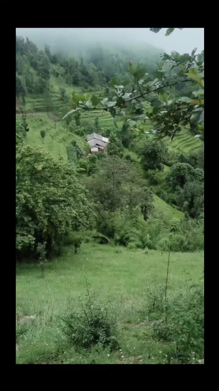 @BaitadikiBasanti@