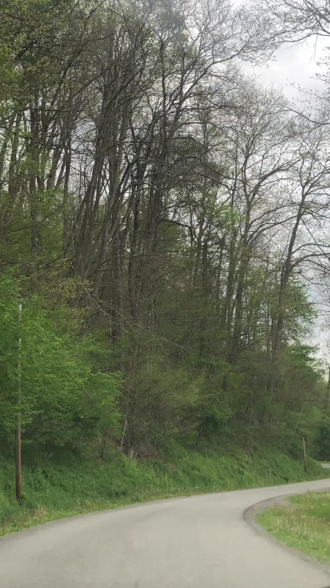 @robinfrazier40