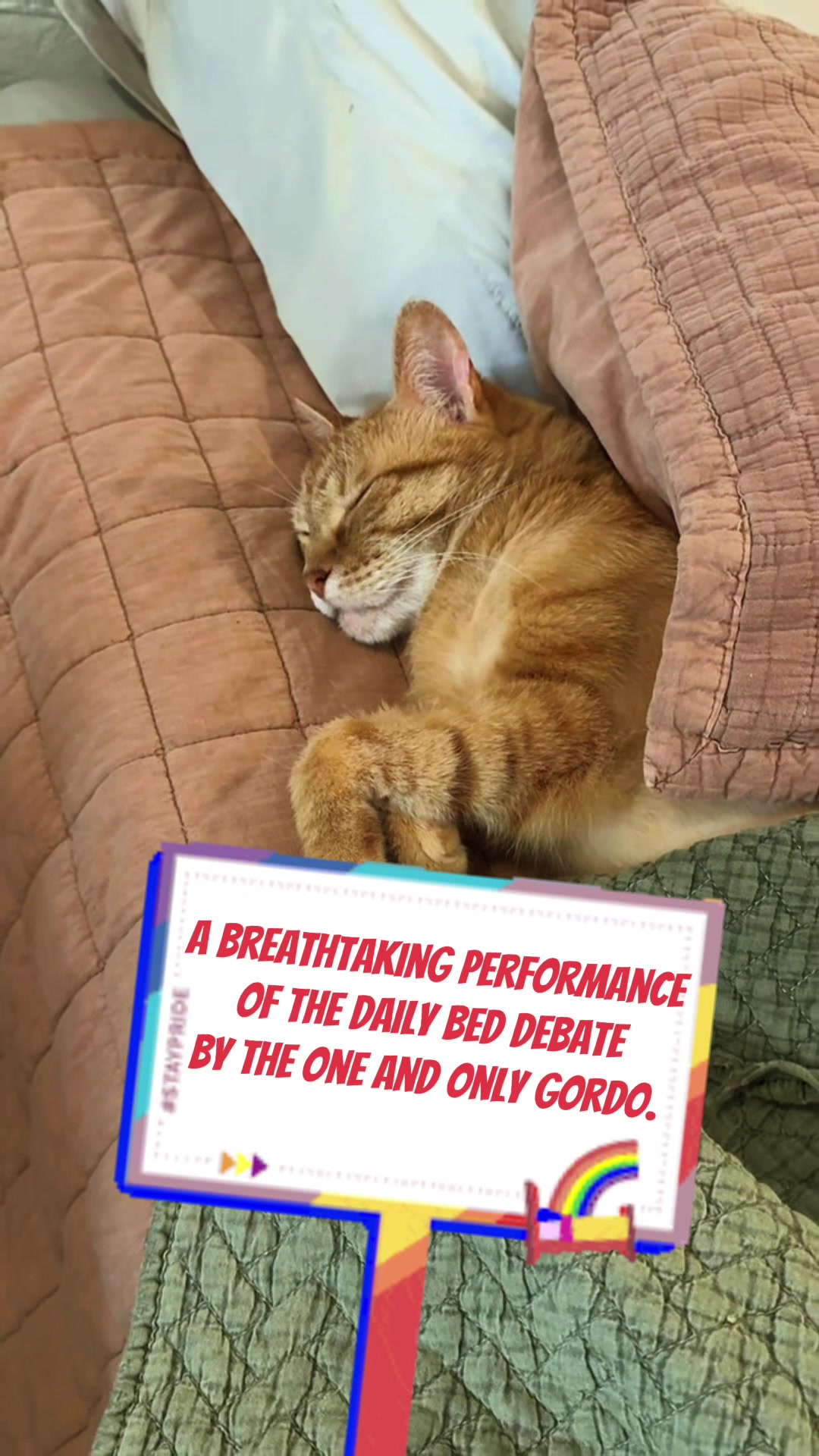 @just_gordo_9