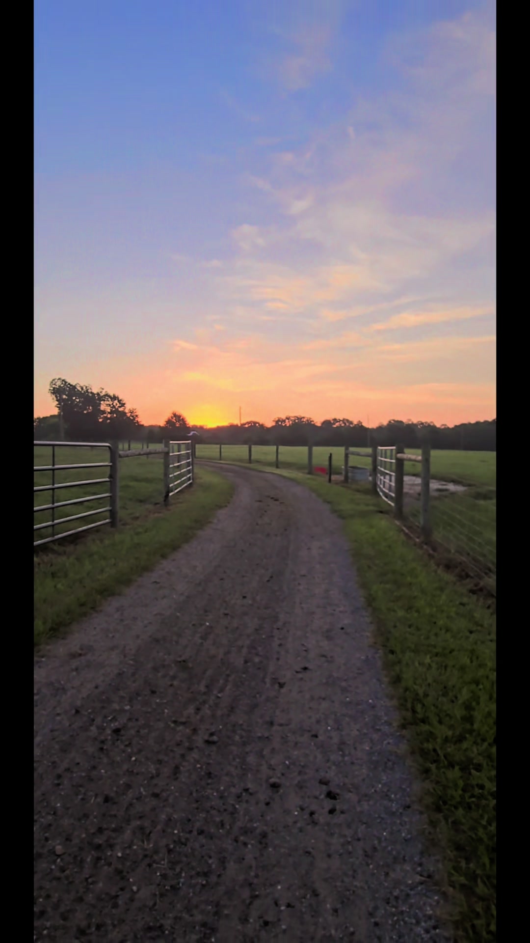 @M.I. CATTLE CO.