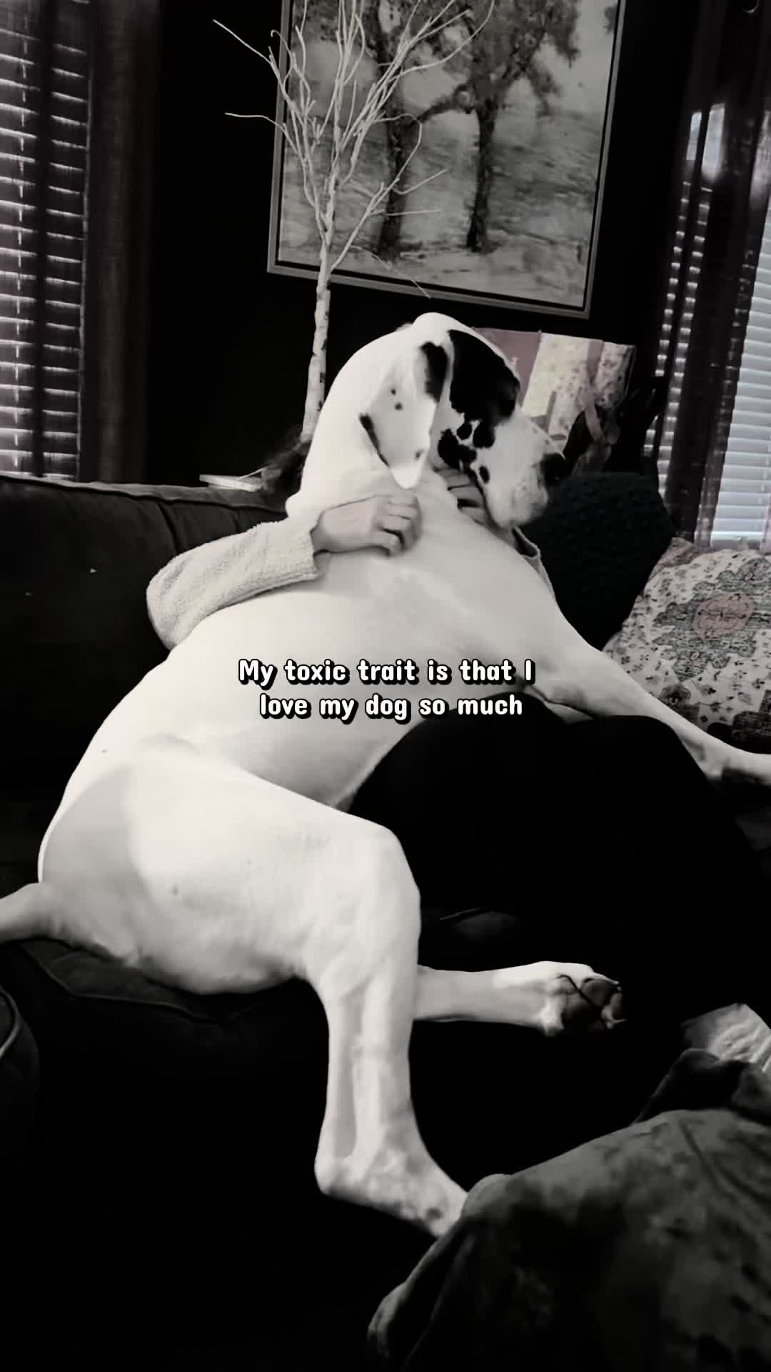 @Raising Dane