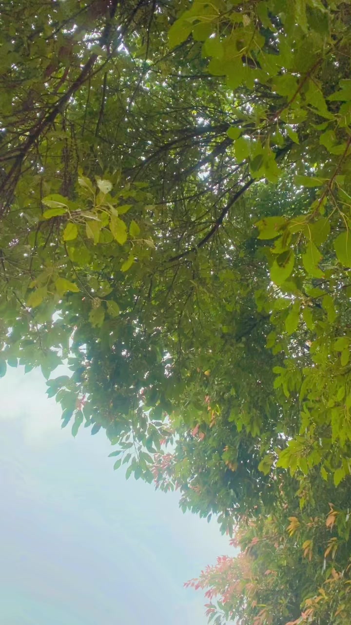 @tuta hua Dil 💔😭