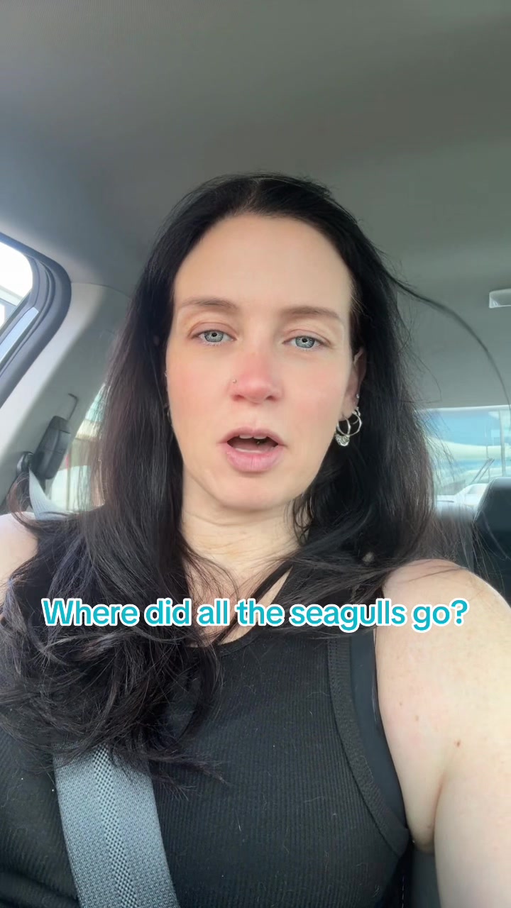 @Laura 💜