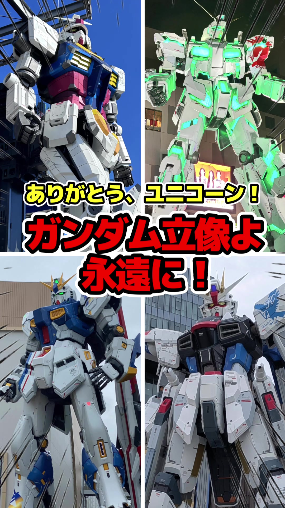 @【本物】ソルティー・ゼータスキー【どう見ても本物】