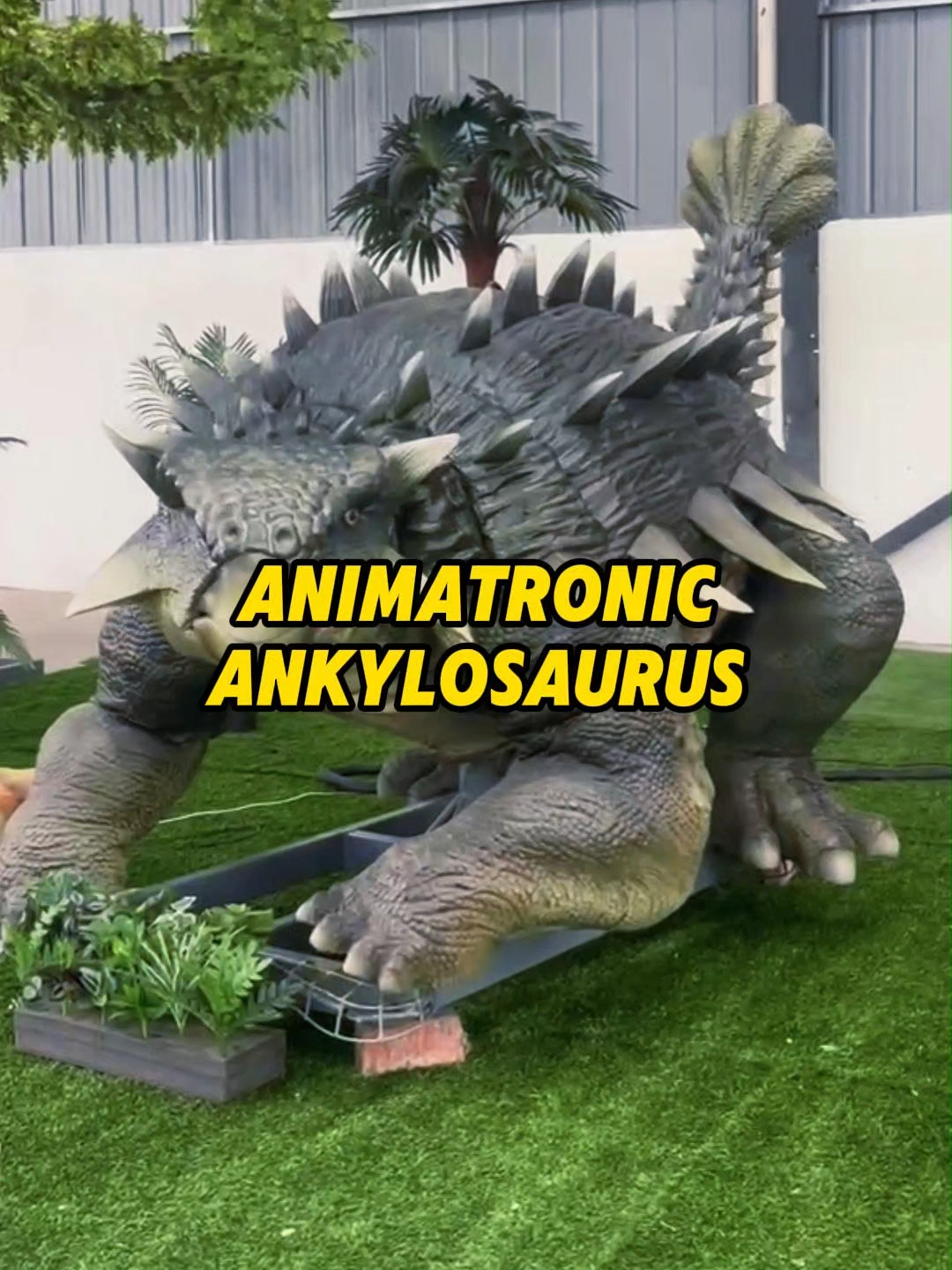 @ZGDinosaur