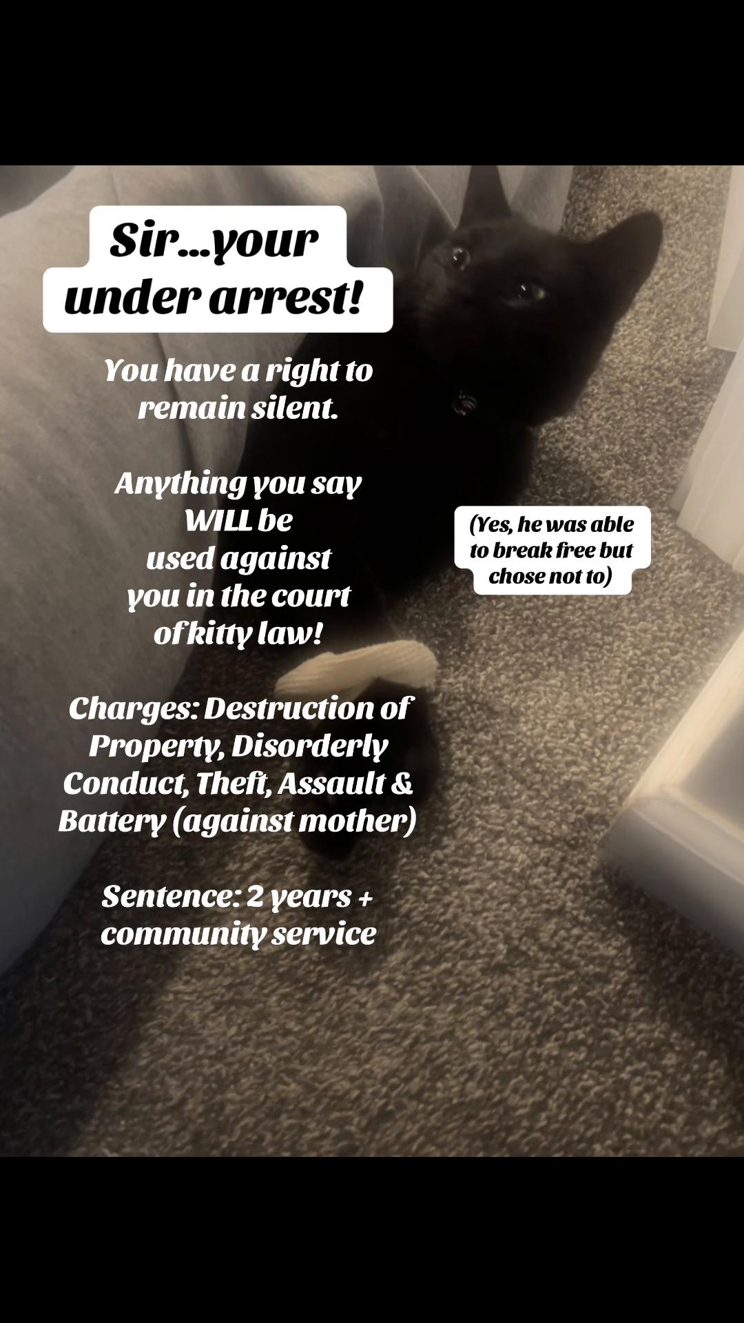@safespaceinfluencer