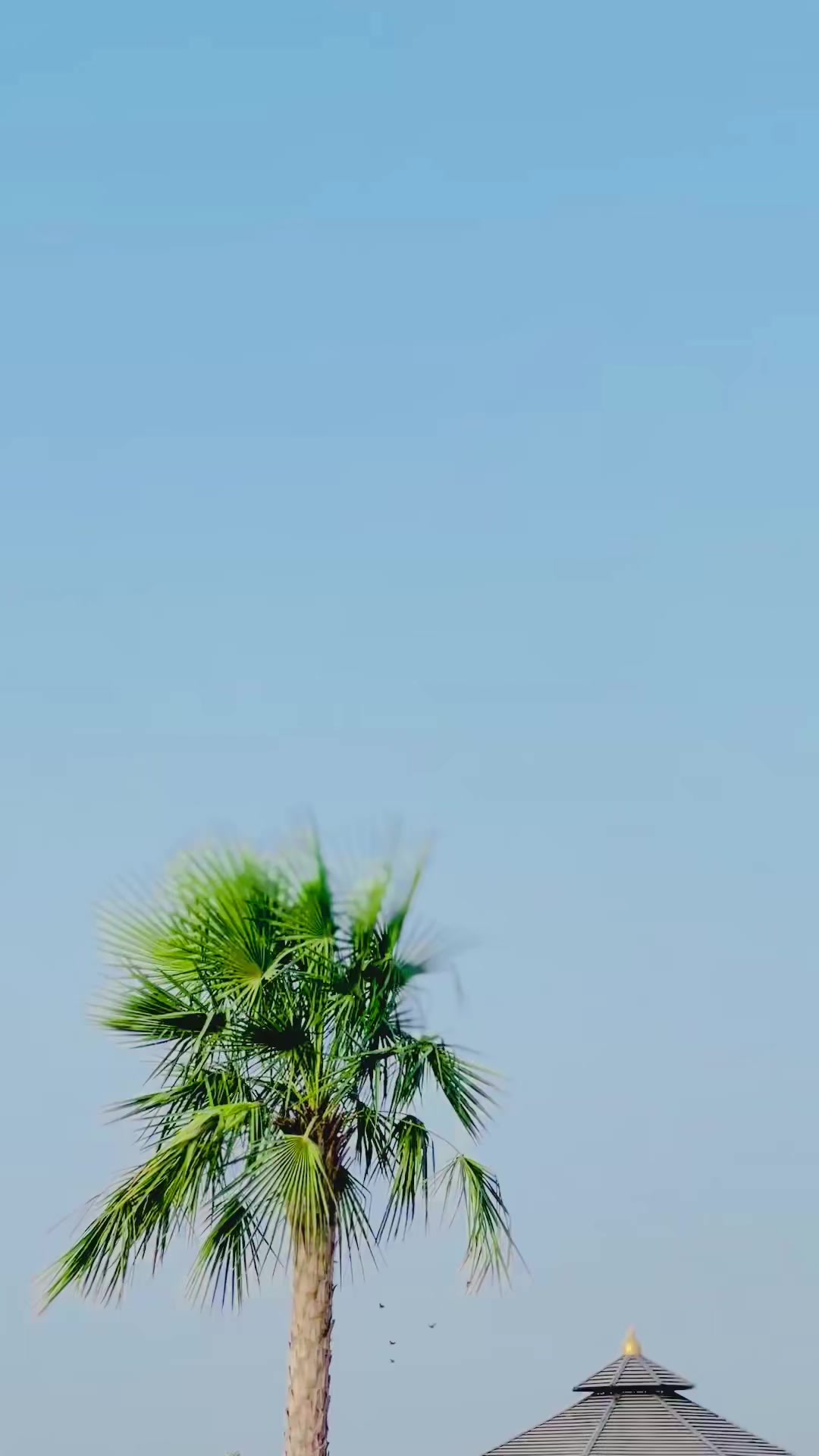 @👑Nawab Latif👑
