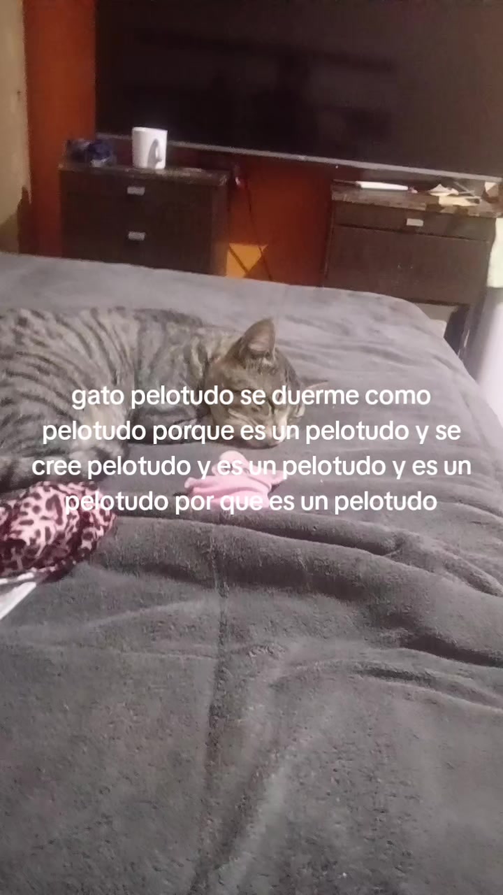@giovanni el insano