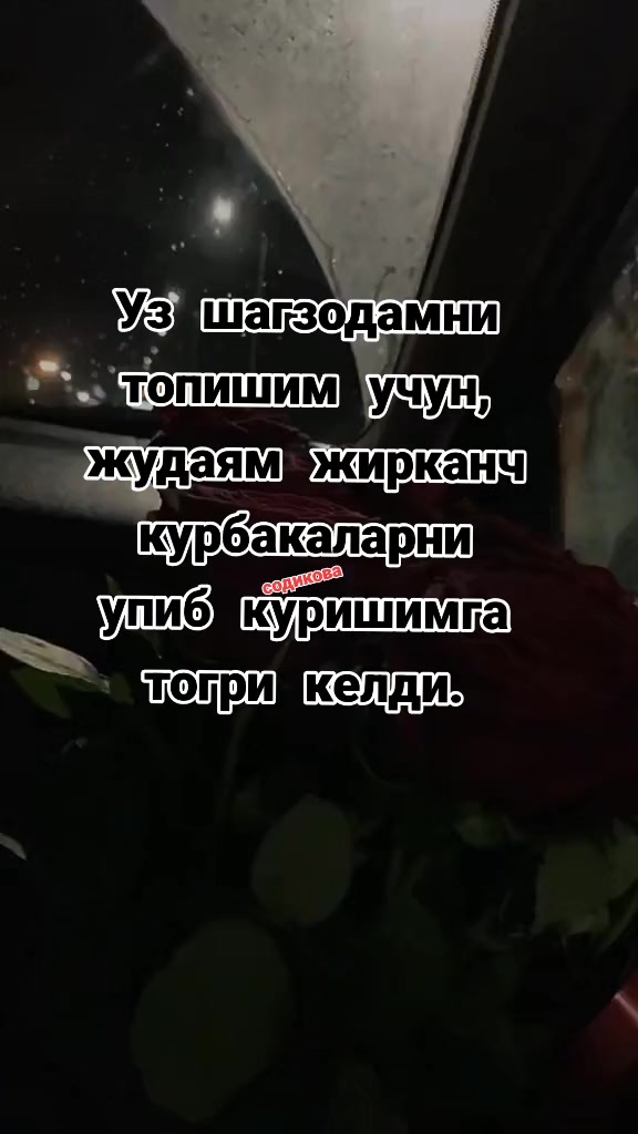 @mts999