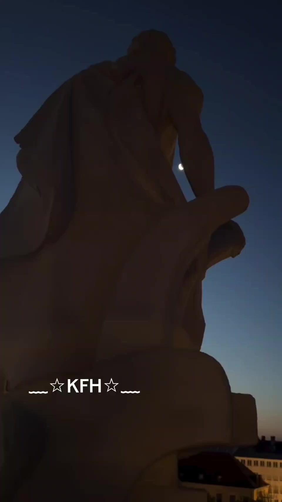 @🐹KIM 피트리 💫🪽
