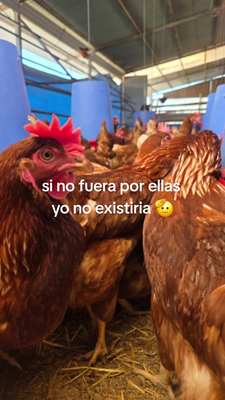 @El Gallinero de Carlos
