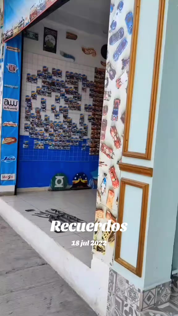 @DardoCollector
