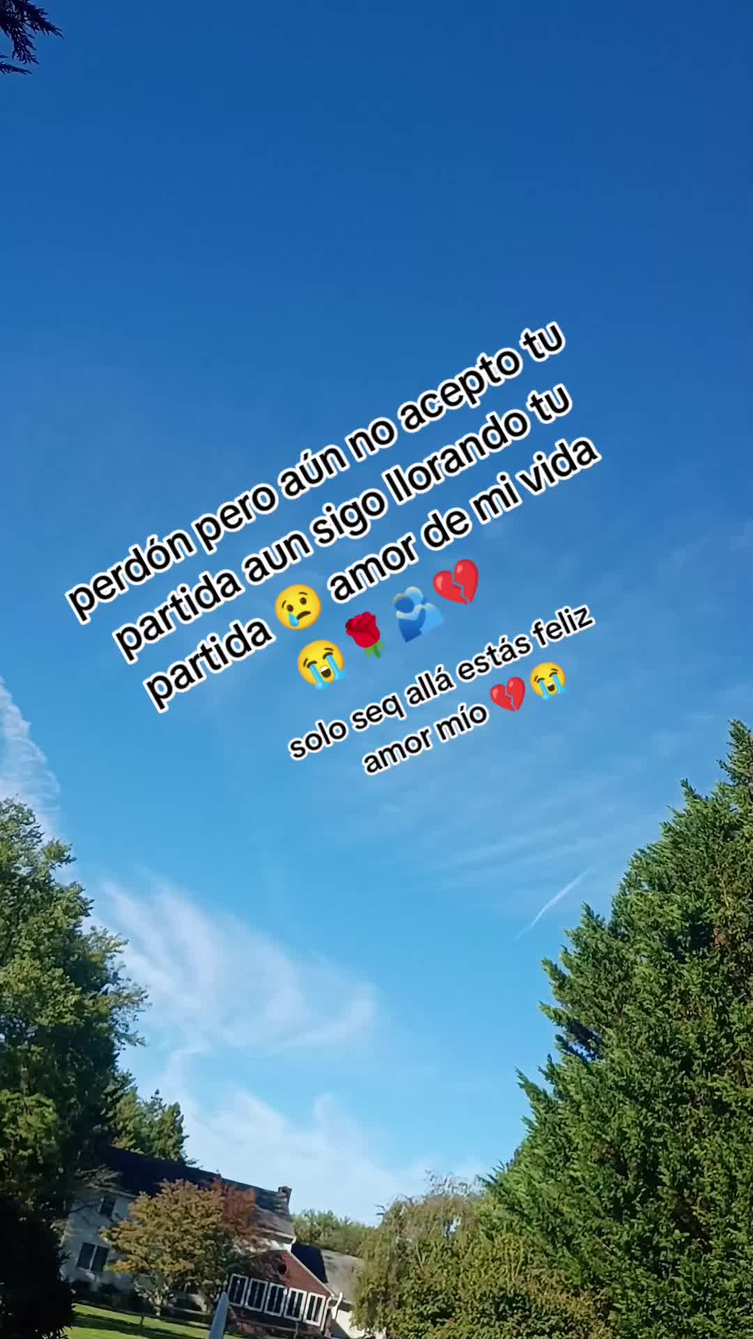 @😍💞27 pepita 🫶✨🥰
