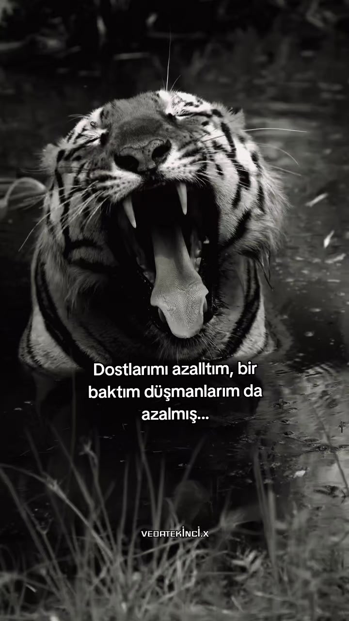 @VEDAT EKİNCİ