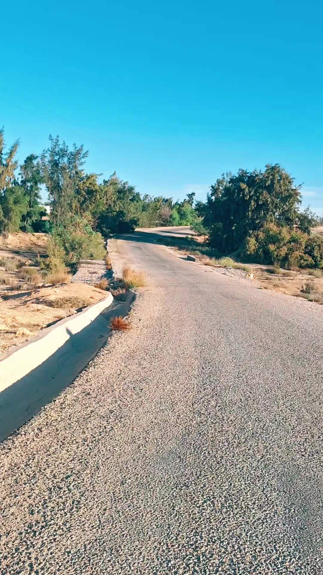 @حفيظي أمين