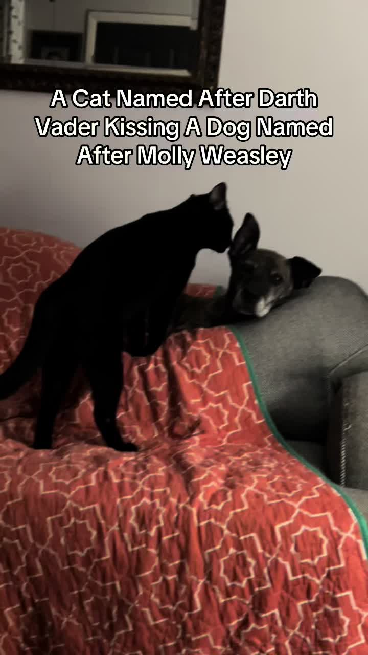 @MelissaIsLoud