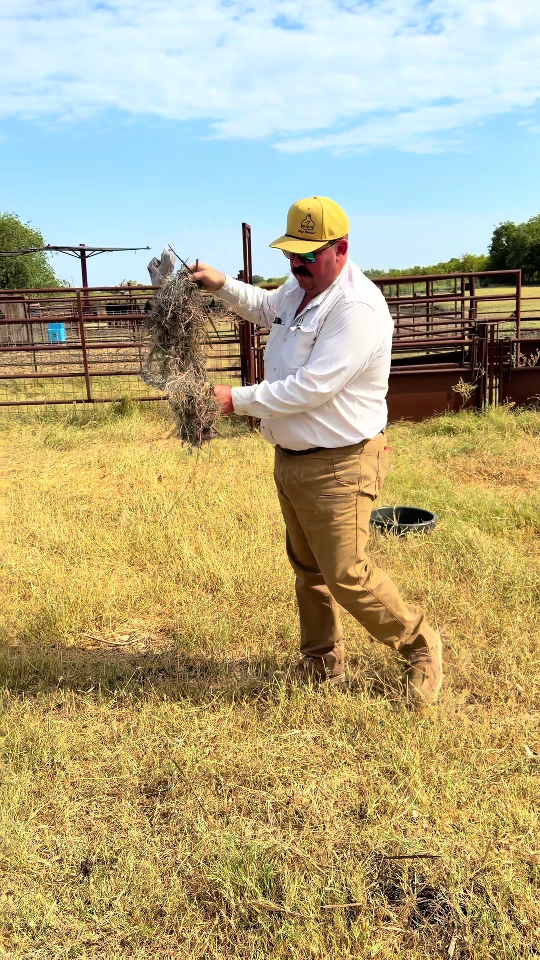 @Bar 7 Ranch