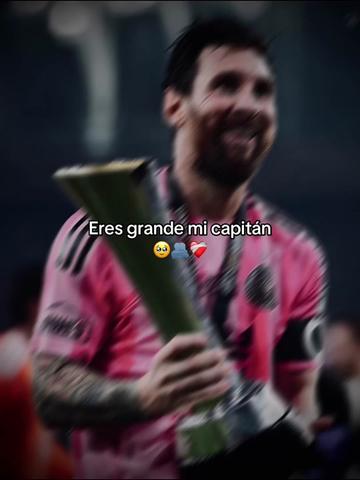 @mini fcb