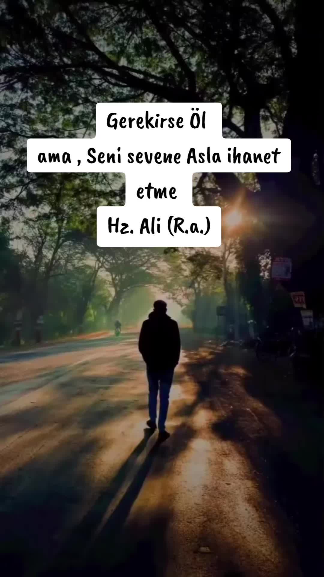 @◄⏤͟͞≛⃝🇹🇷Rᴜʜ Aᴅᴀᴍ