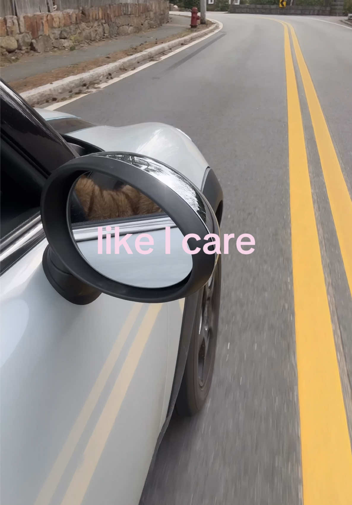 @lane alicia