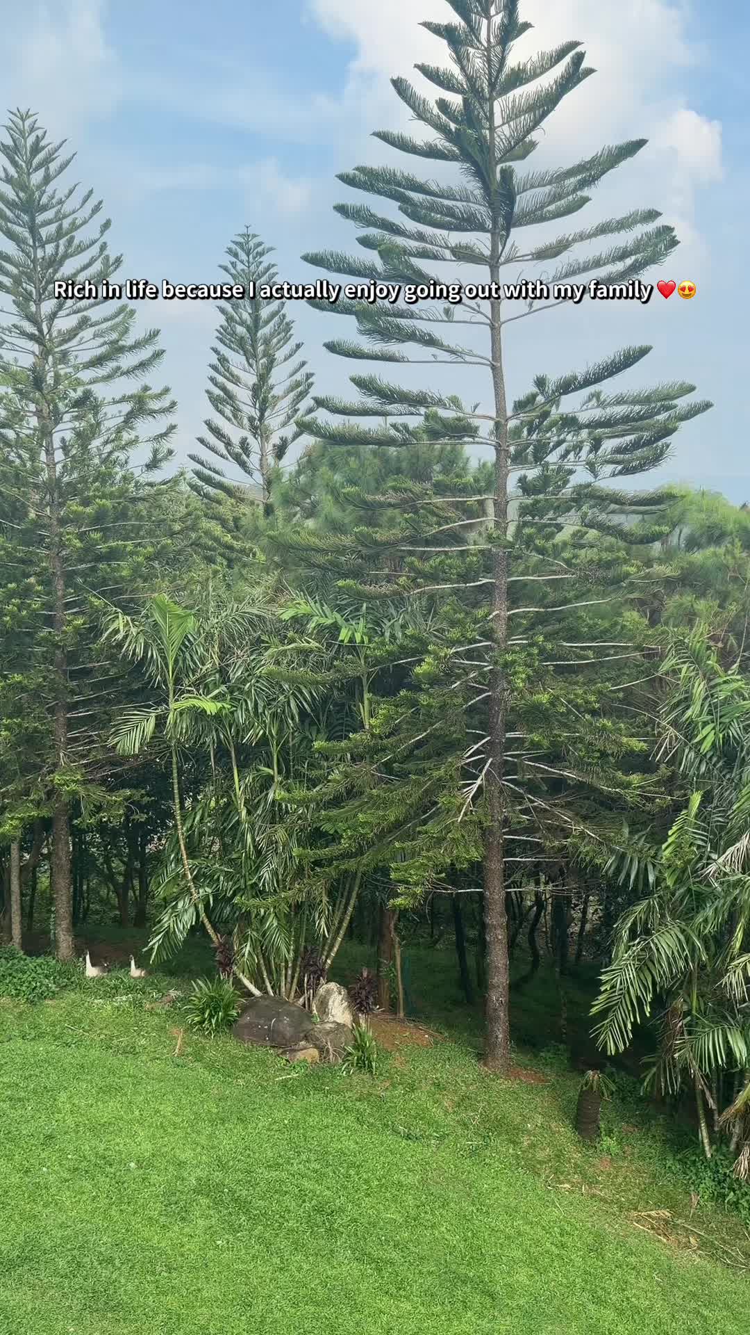 @MOMSIKATH 🧿