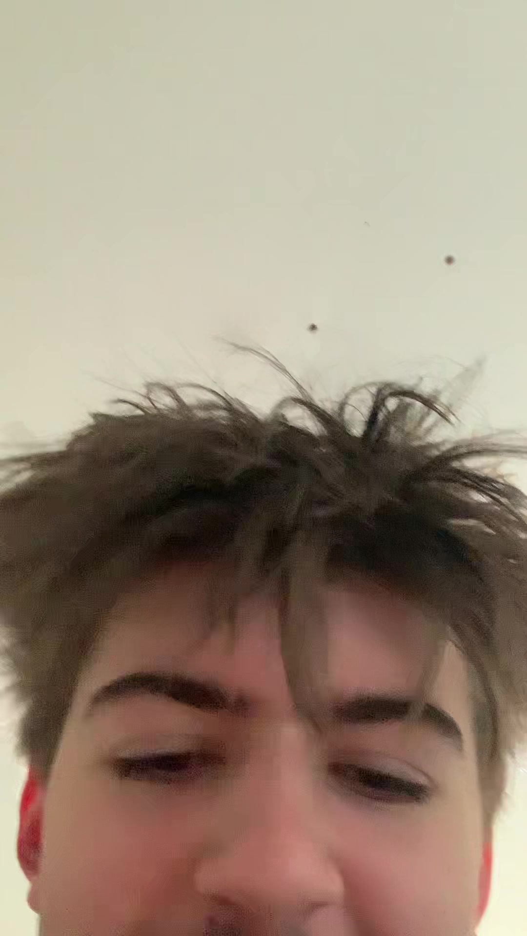 @zuh