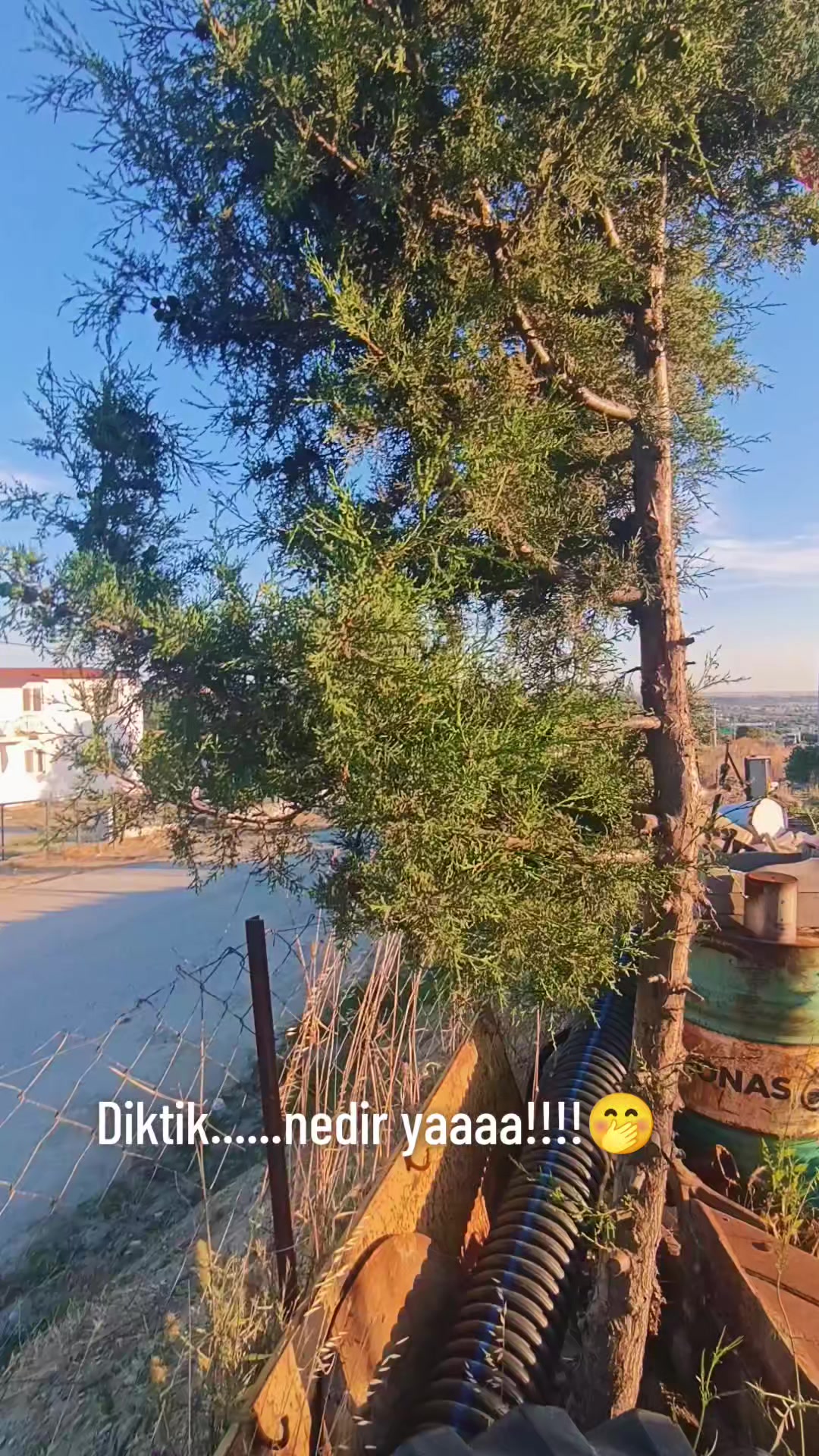 @T.Tezcan