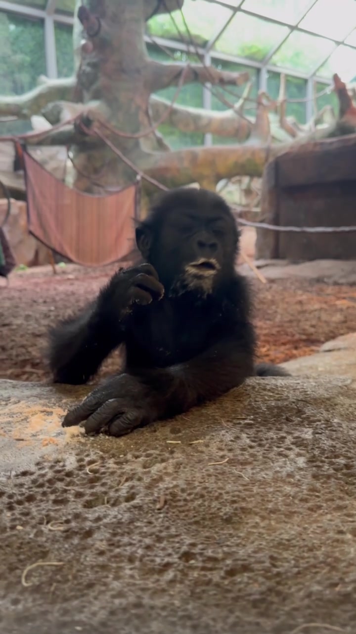 @Cincinnati Zoo