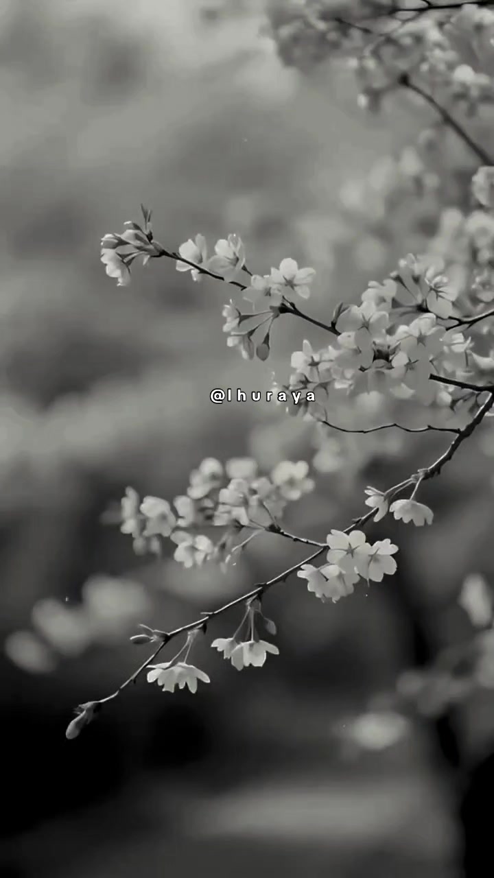 @ثــريا ✨
