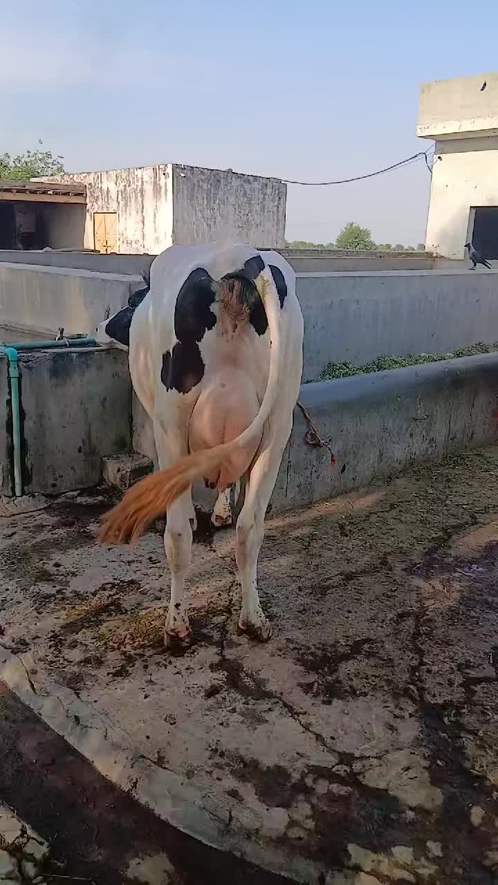 @Farming and Business Ideas