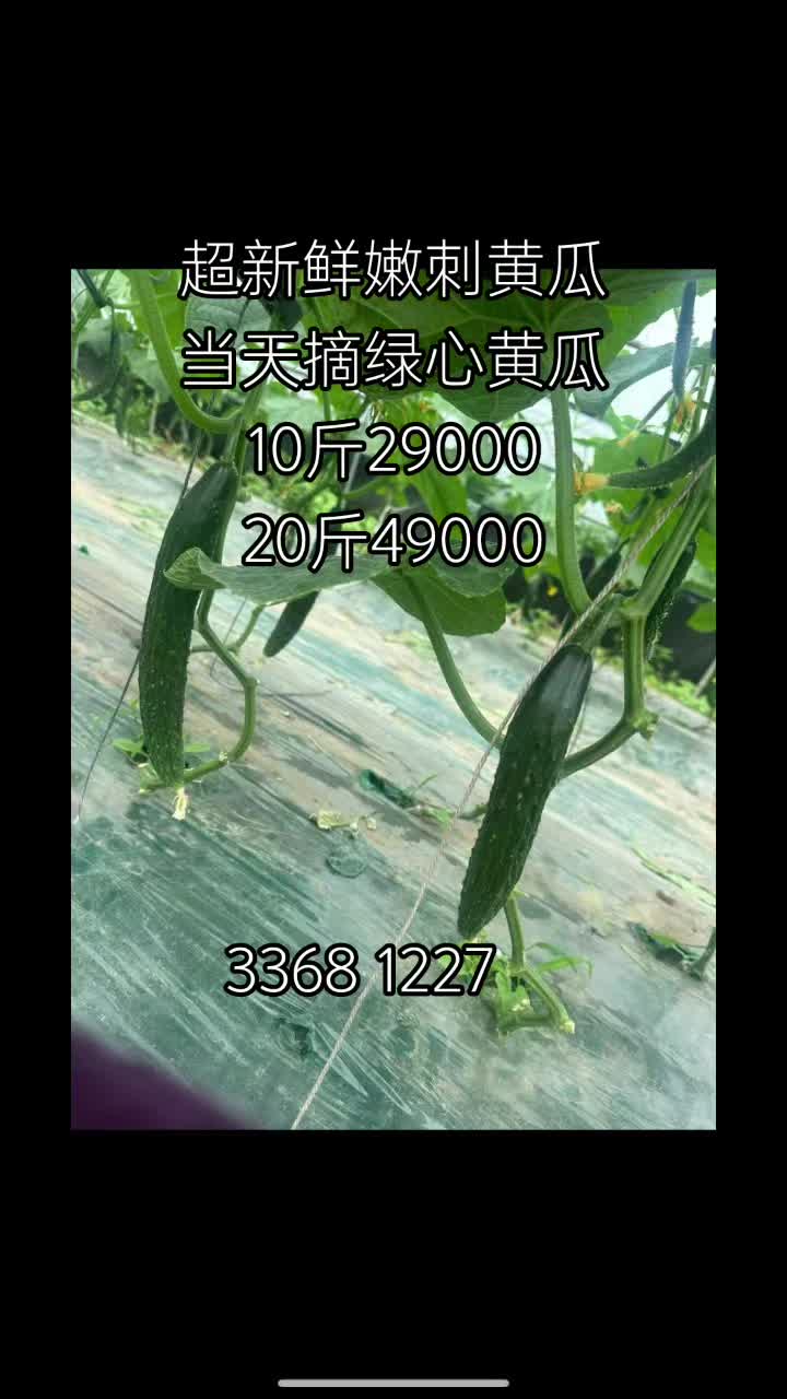 @李小厨