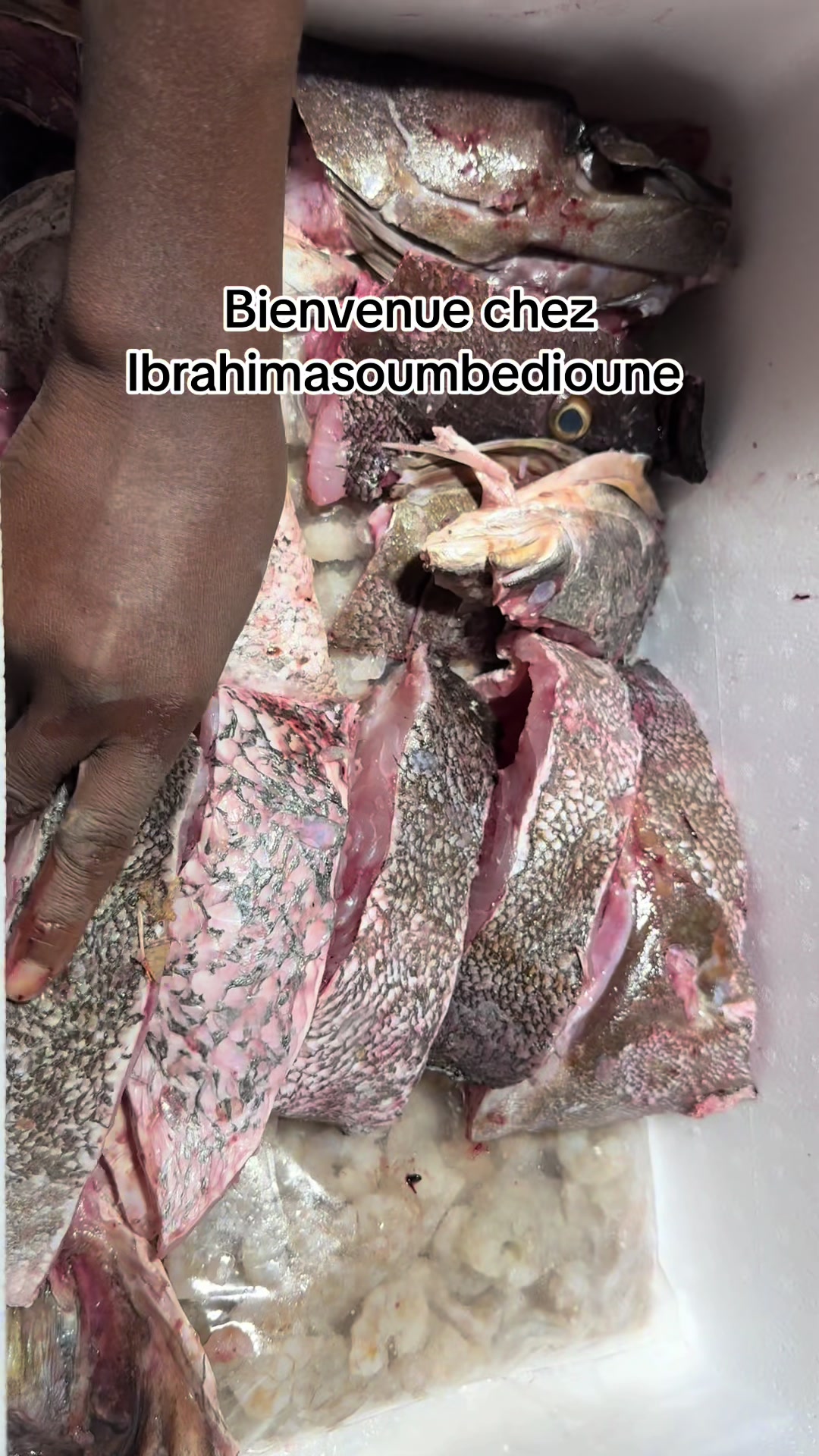 @Ibrahimasoumbedioune0