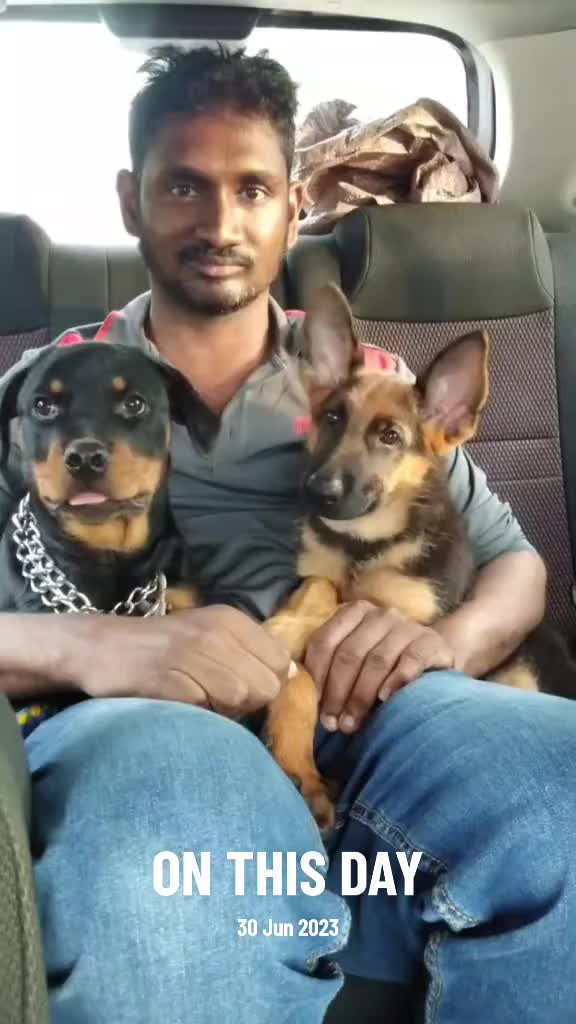 @Bamboozler kennel