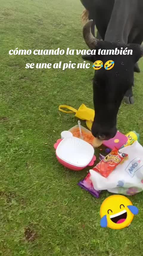 @Kika 👩🏾&zwj;🦱🌻&hearts;️