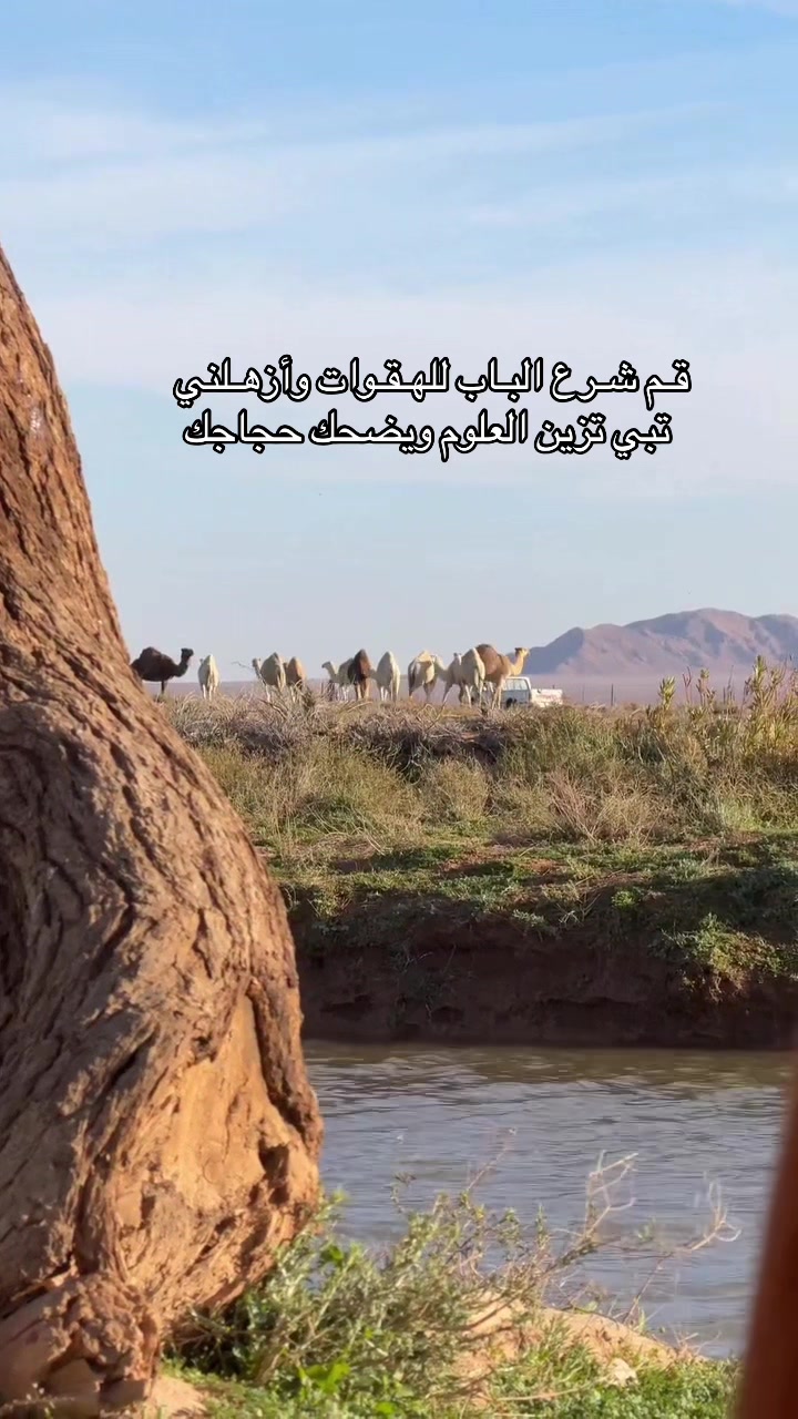@شعور